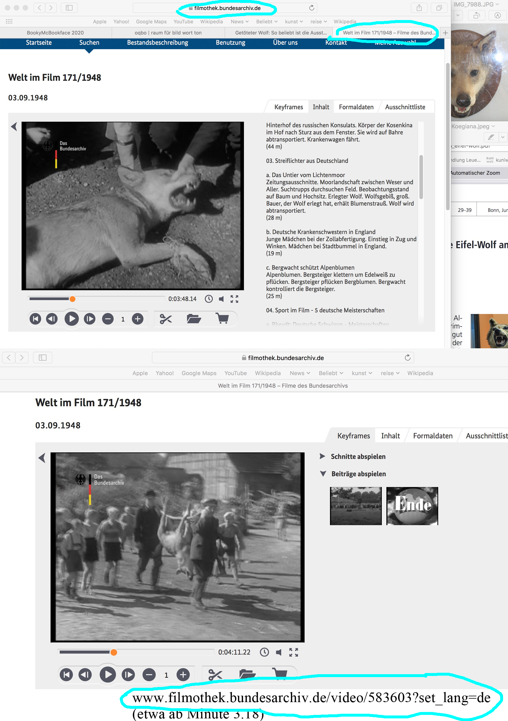 Bundesarchiv: Welt im Film 171/1948. Filmothek Bundesarchiv. 1948.